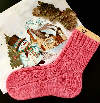 ein weiteres Weihnachtsgeschenk&#8230;.Socken Caprales 