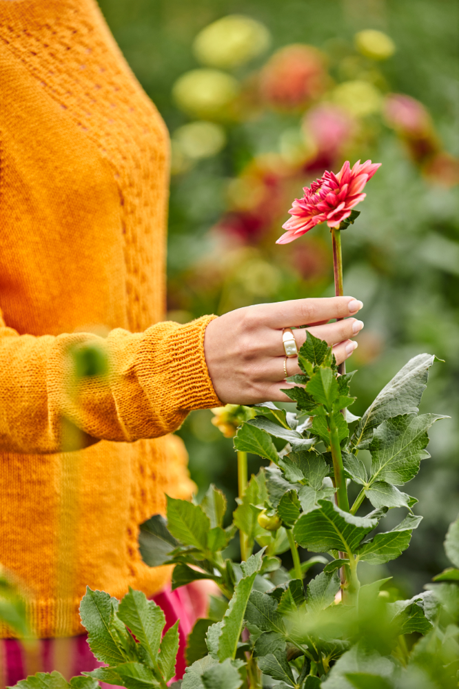 Pulli mit Musterbordüre - Raglan von oben | Wollpaket mit Silky | Stricken