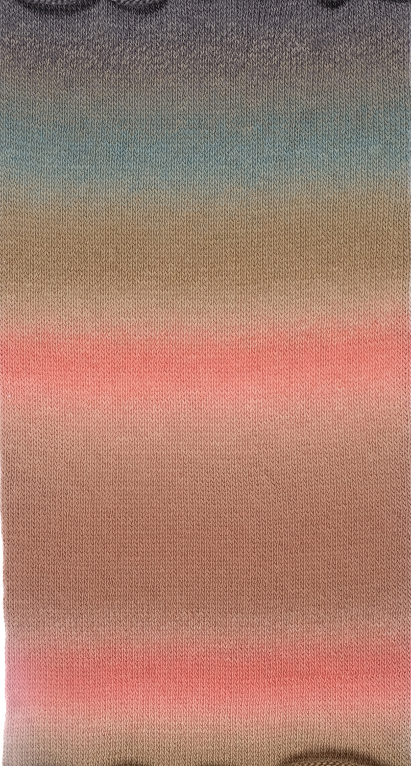 Gradient von Schoppel 2624 - Elchtest