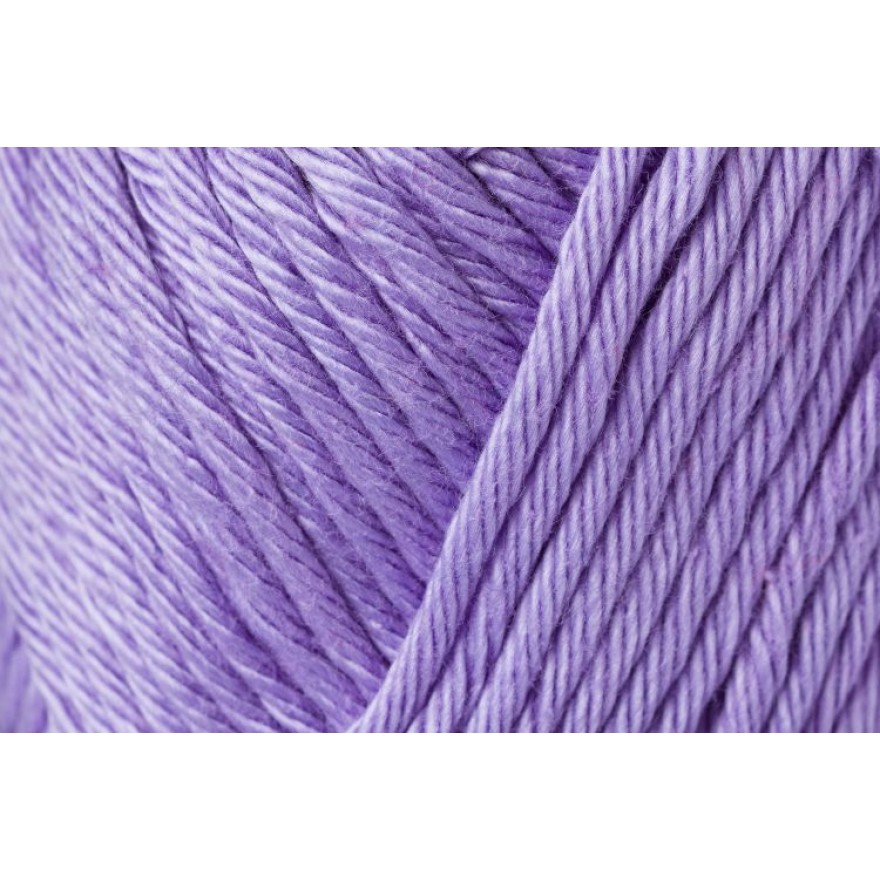03208 flieder | 3,50 €