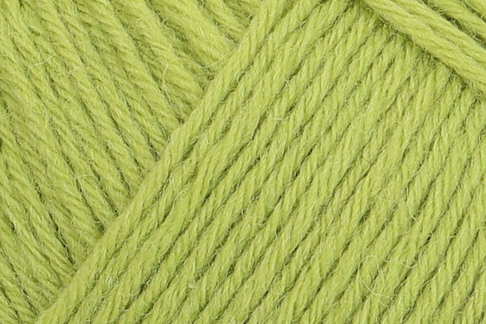 01056 limette | 11,95 €