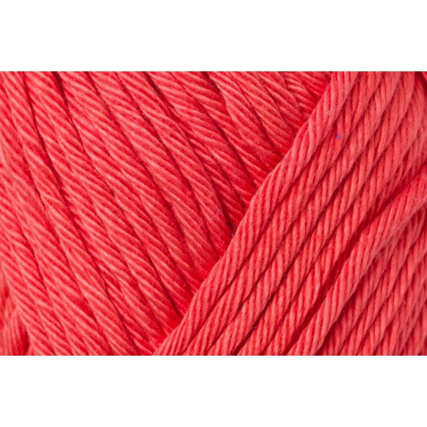 03252 kamelie | 3,50 €