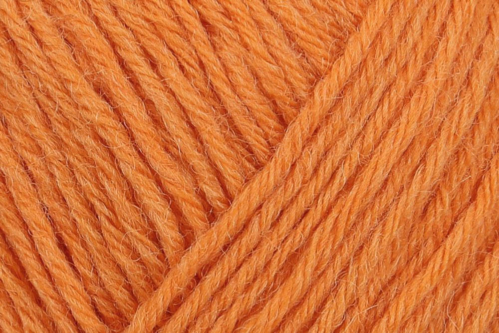 01054 kürbis | 5,25 €