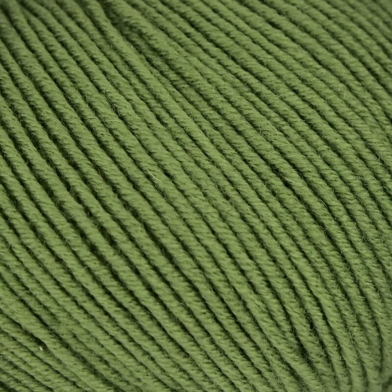 0243 - oliv  | 3,38 €