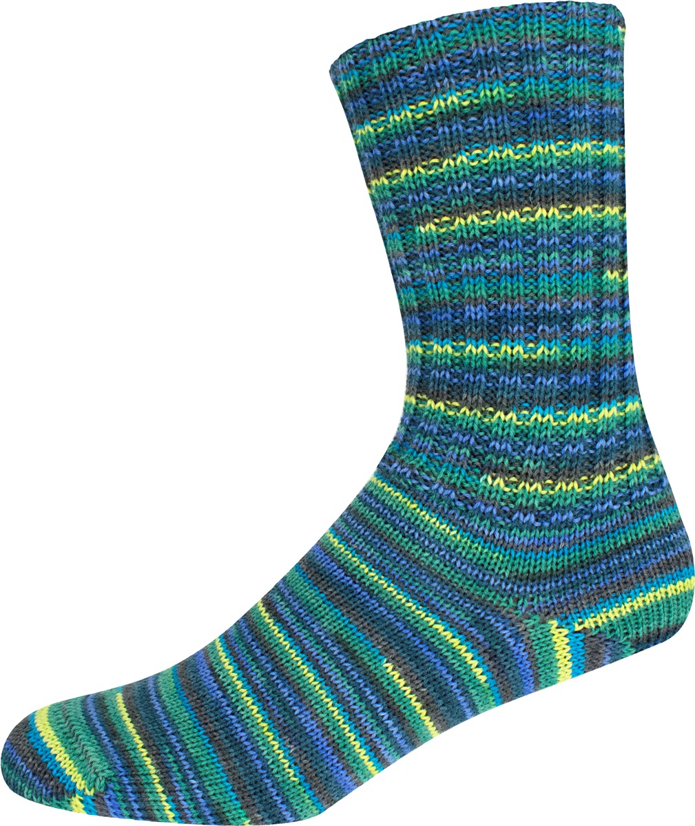 2923 | 7,50 €