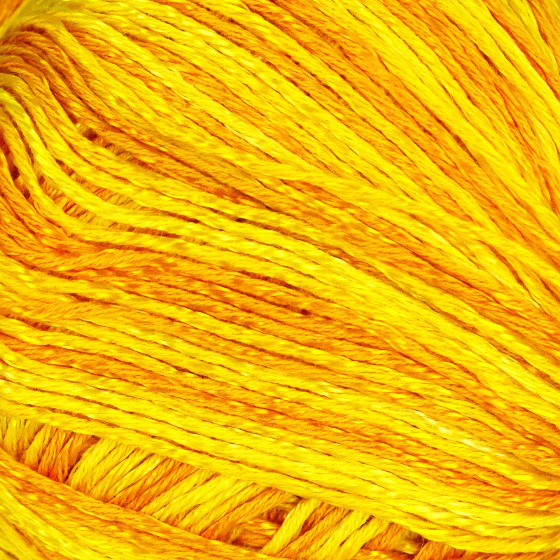 Tonale Linie 494 von ONline