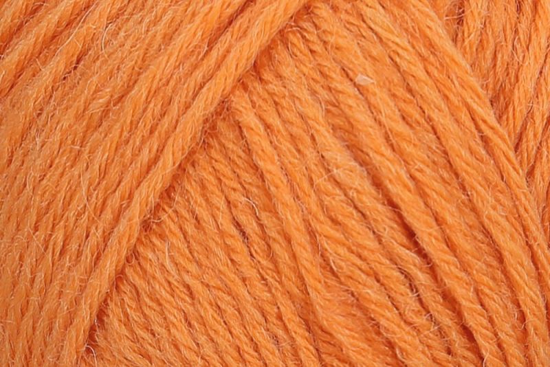 1054 - kürbis | 7,95 €