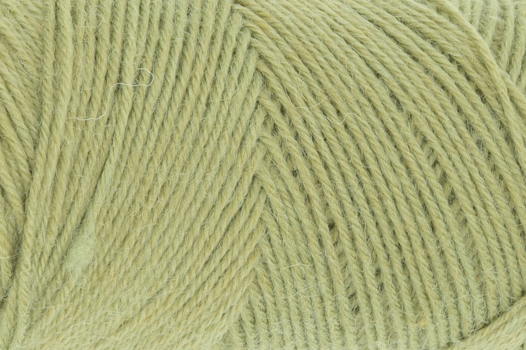 0116 - kiwi | 3,25 €