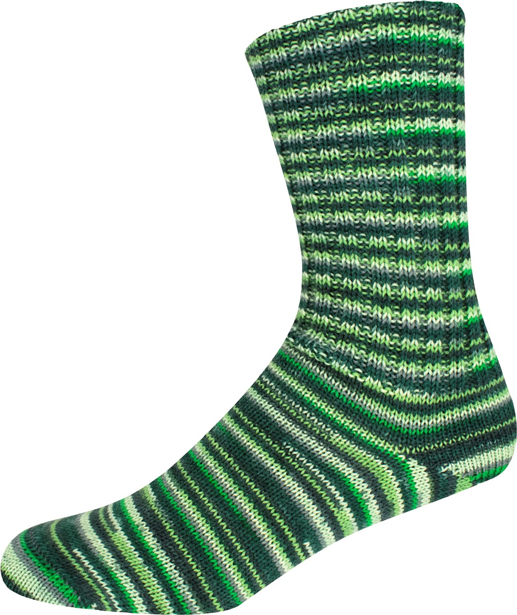 2925 | 7,50 €