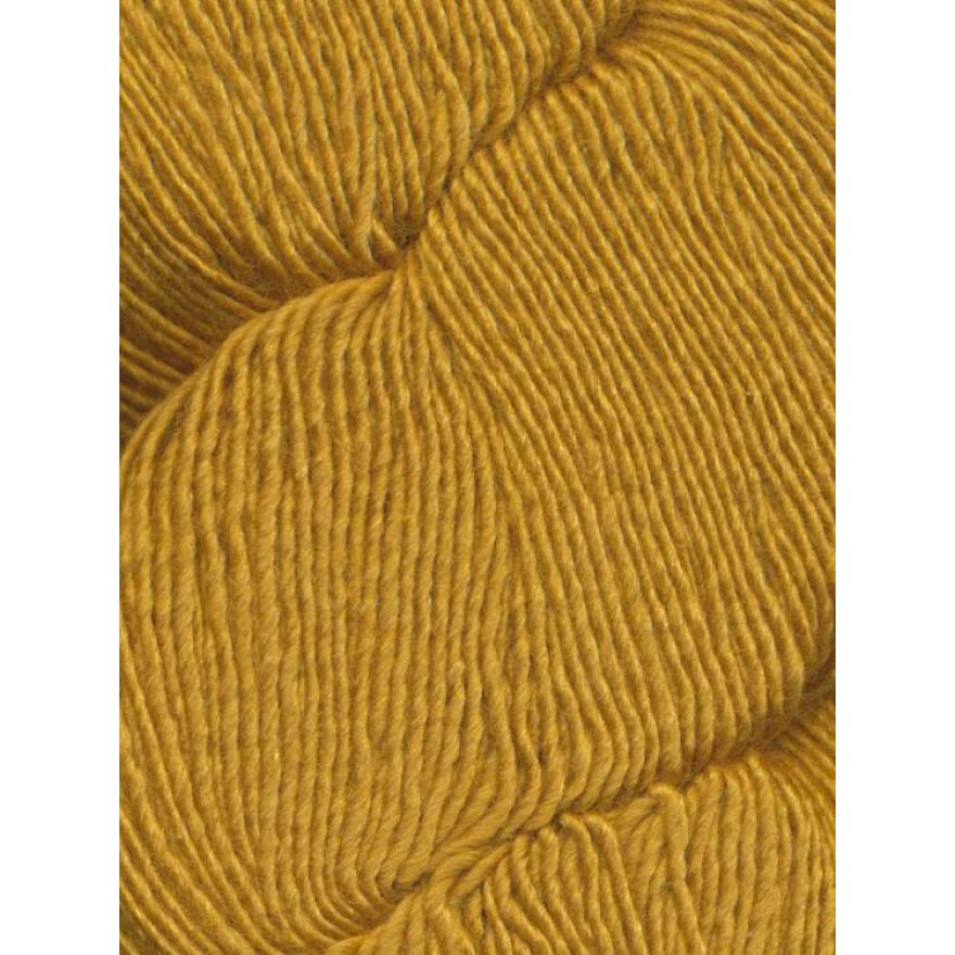 Nuble von Araucania 0222 - Goldenrod