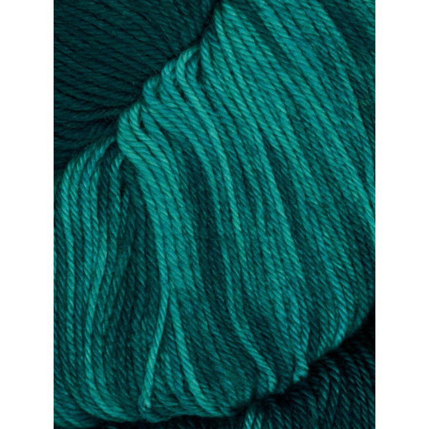 Huasco Sock Kettle Dyes von Araucania Yarns 1005 - Verdigris