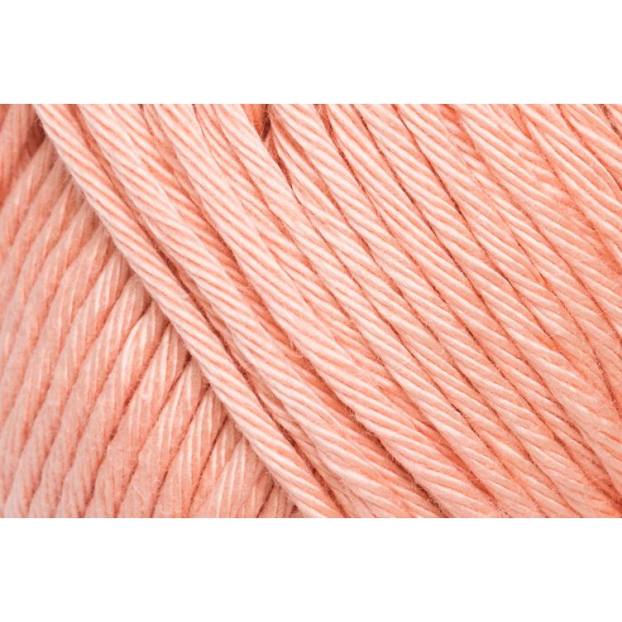 03210 aprikose | 3,50 €