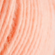 0031 - apricot | 5,75 €