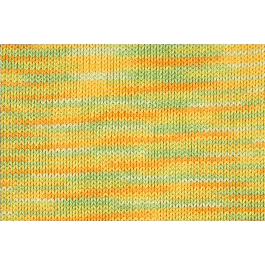 00238 cactus | 4,25 €