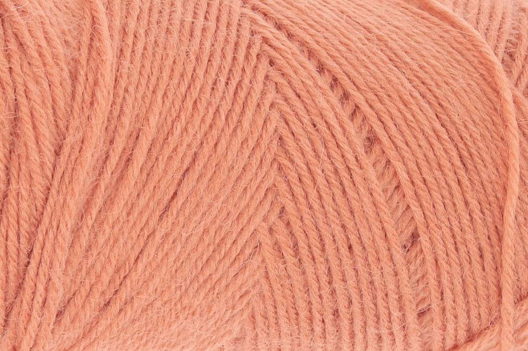0228 - lachs | 3,25 €