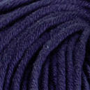 0050 - pflaume (passend zu Colorfarbe 0086) | 4,50 €