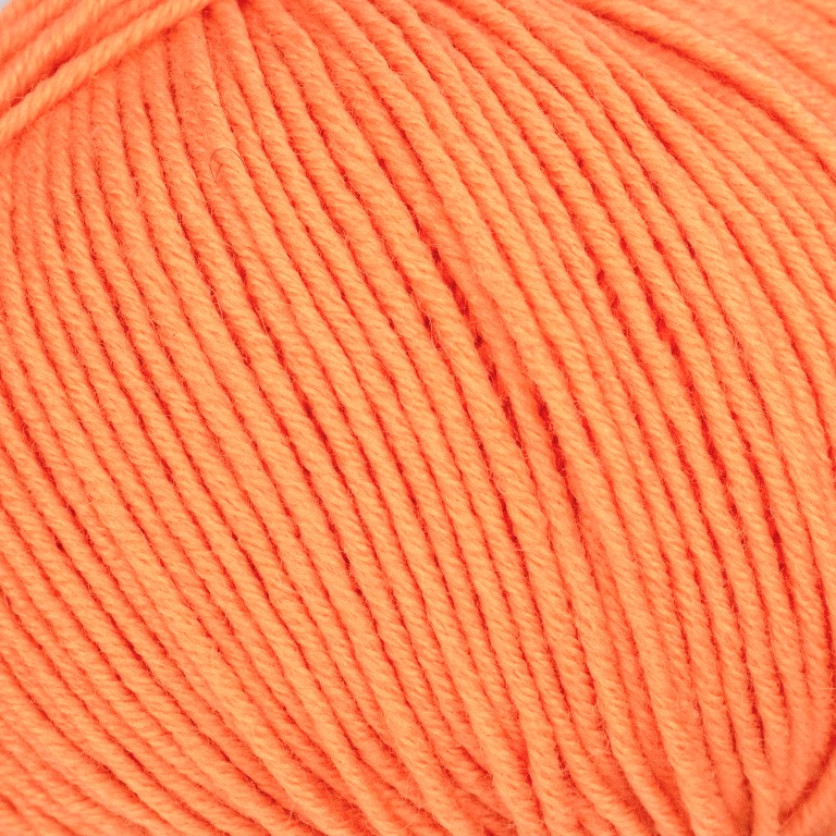0238 - lachs | 4,50 €