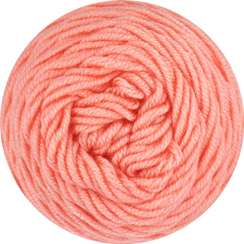 0021 - lachs | 2,57 €