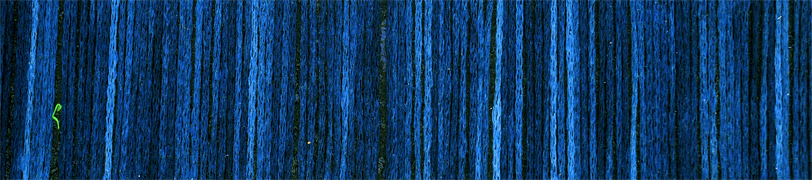 El Linio von Schoppel 2274 - Armeeblau