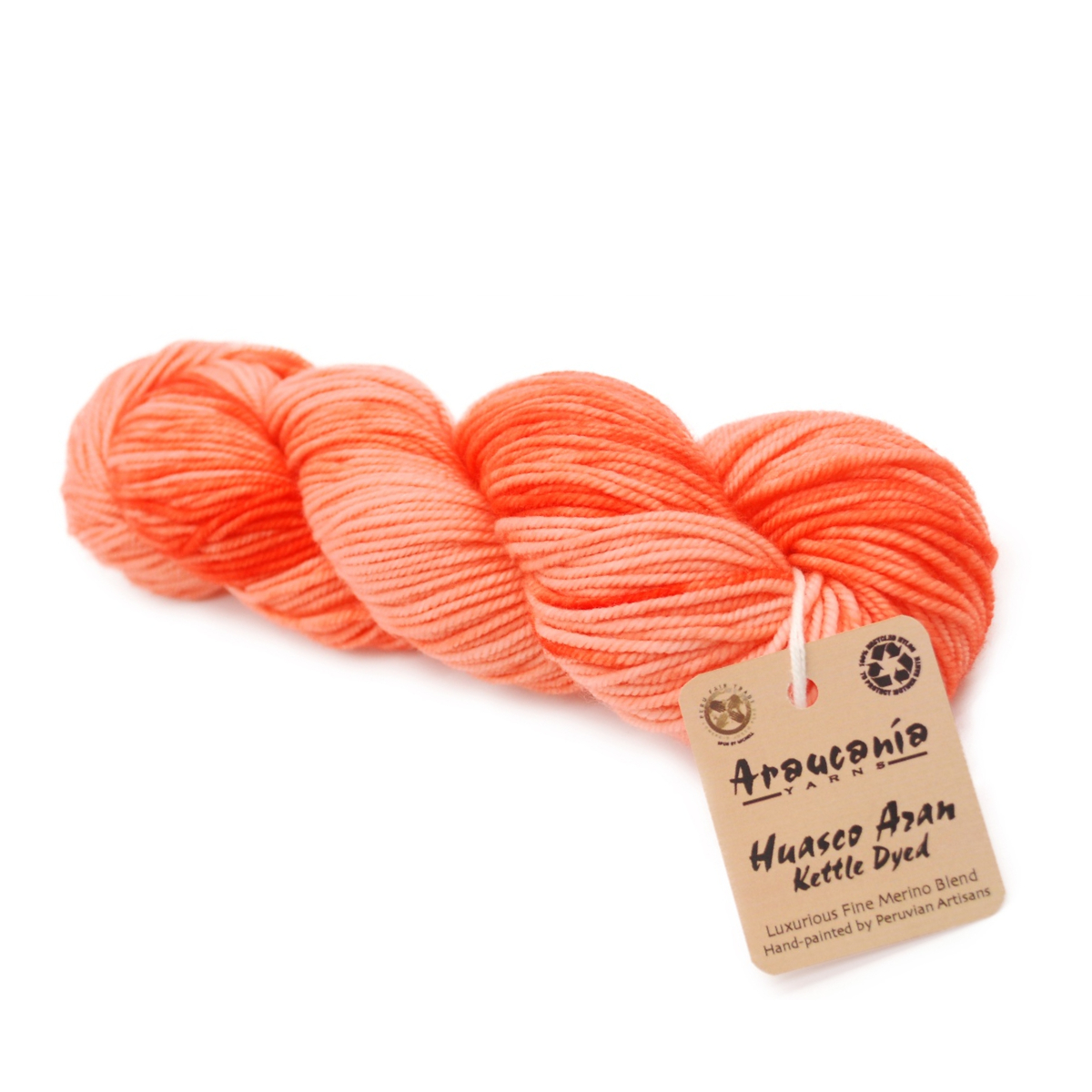 Huasco Aran Kettle Dyes von Araucania Yarns