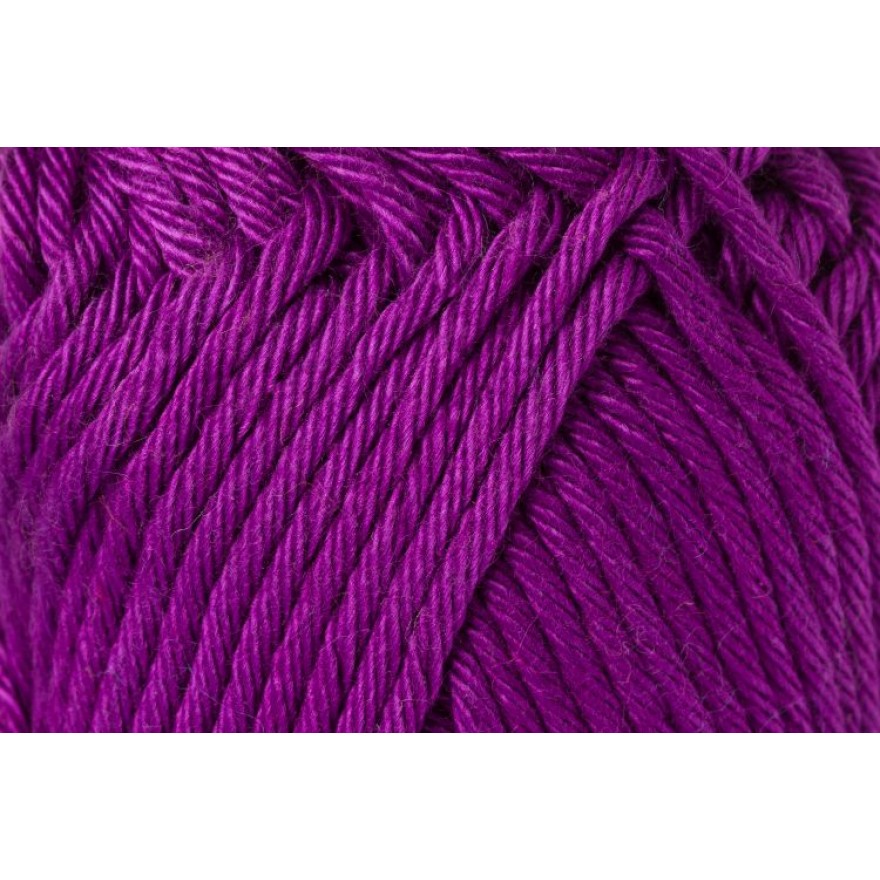 03282 clematis | 3,50 €