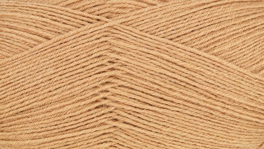 0069 - camel | 6,38 €