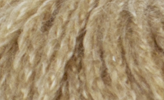 0005 - camel | 6,95 €