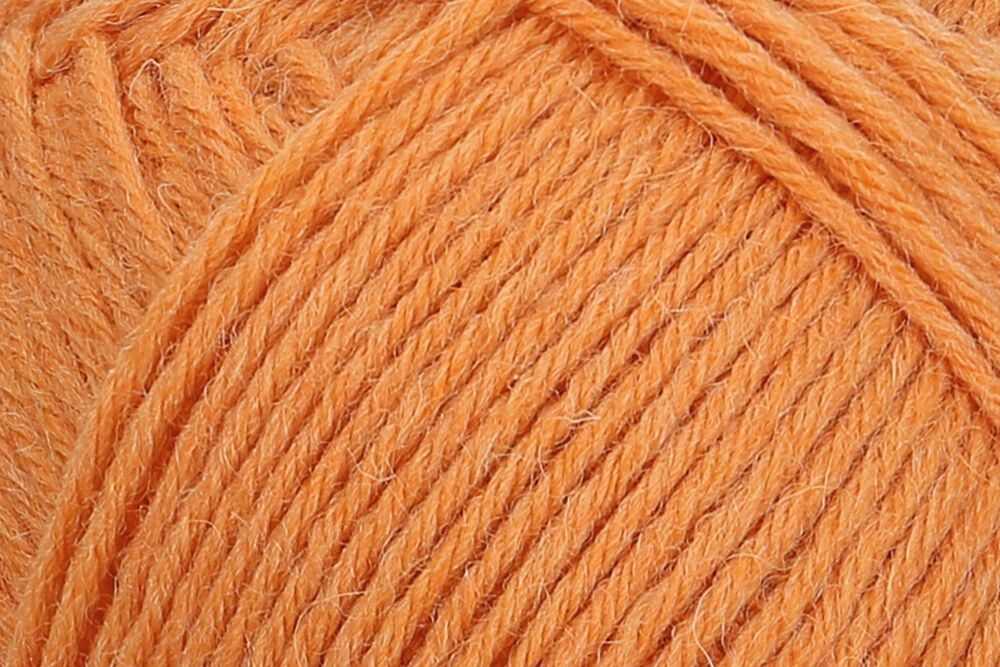 01054 kürbis | 11,95 €
