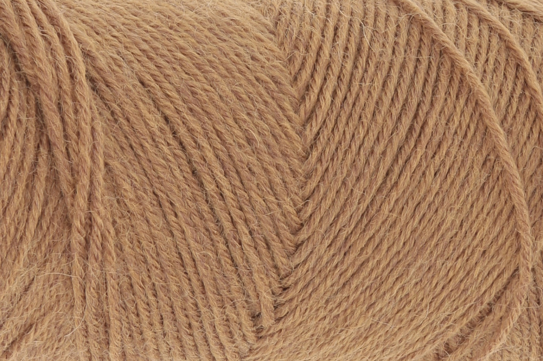 0339 - Camel | 3,25 €
