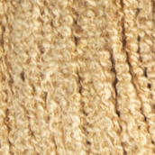 0012 - camel | 6,50 €