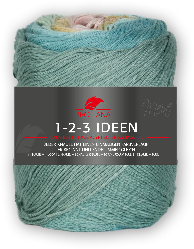 0019 - mint / rose