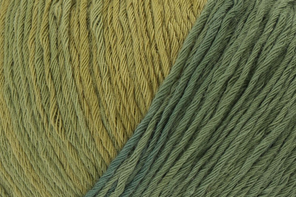 07668 jungle | 7,75 €