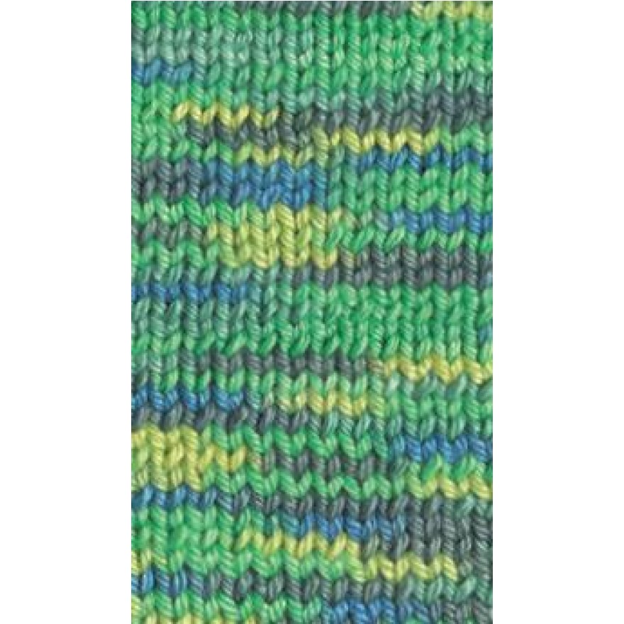 00206 wiese | 4,25 €