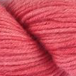 2452 - Shadow Koralle | 21,35 €