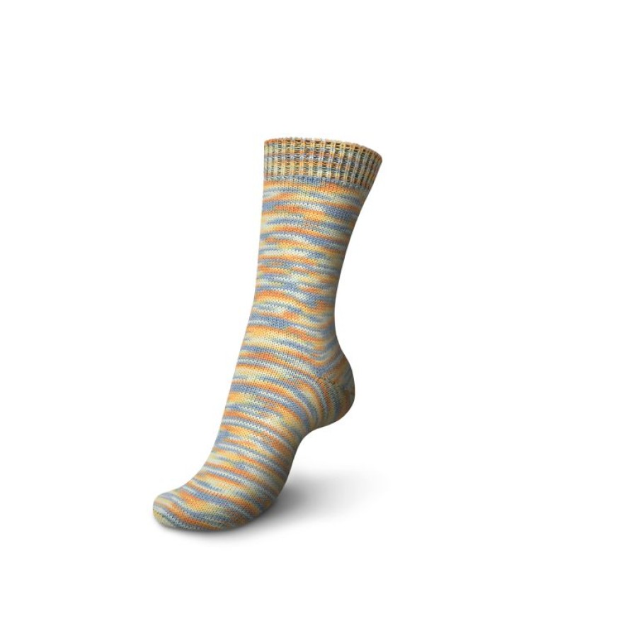 01261 variegata | 8,50 €
