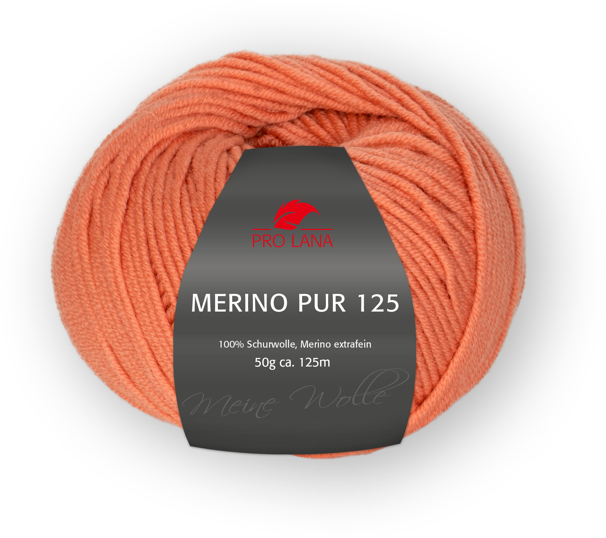 0025 - kürbis | 5,95 €