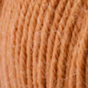 0034 - camel | 5,75 €